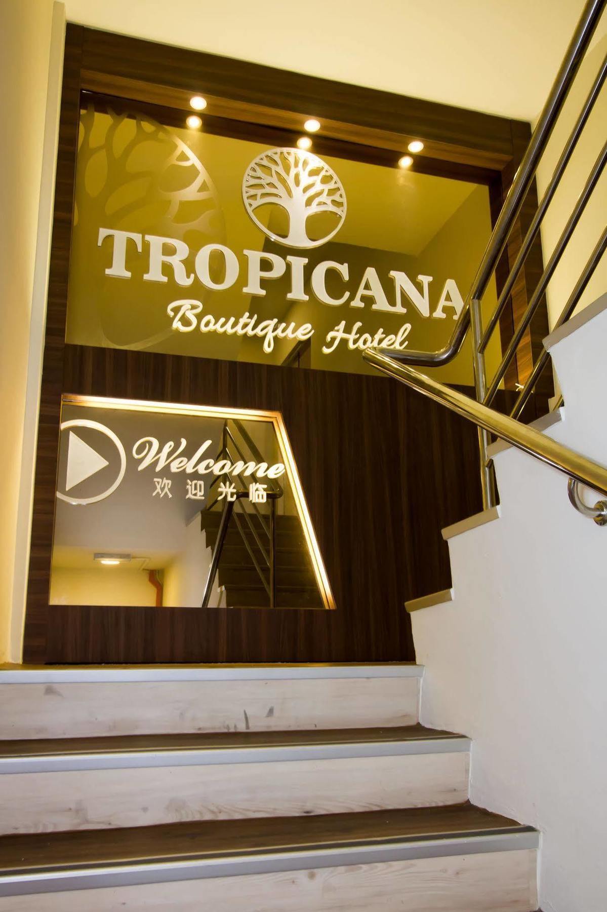 מואר Tropicana Homestay מראה חיצוני תמונה